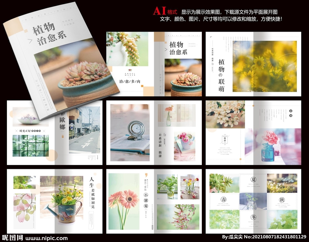 植物花卉画册