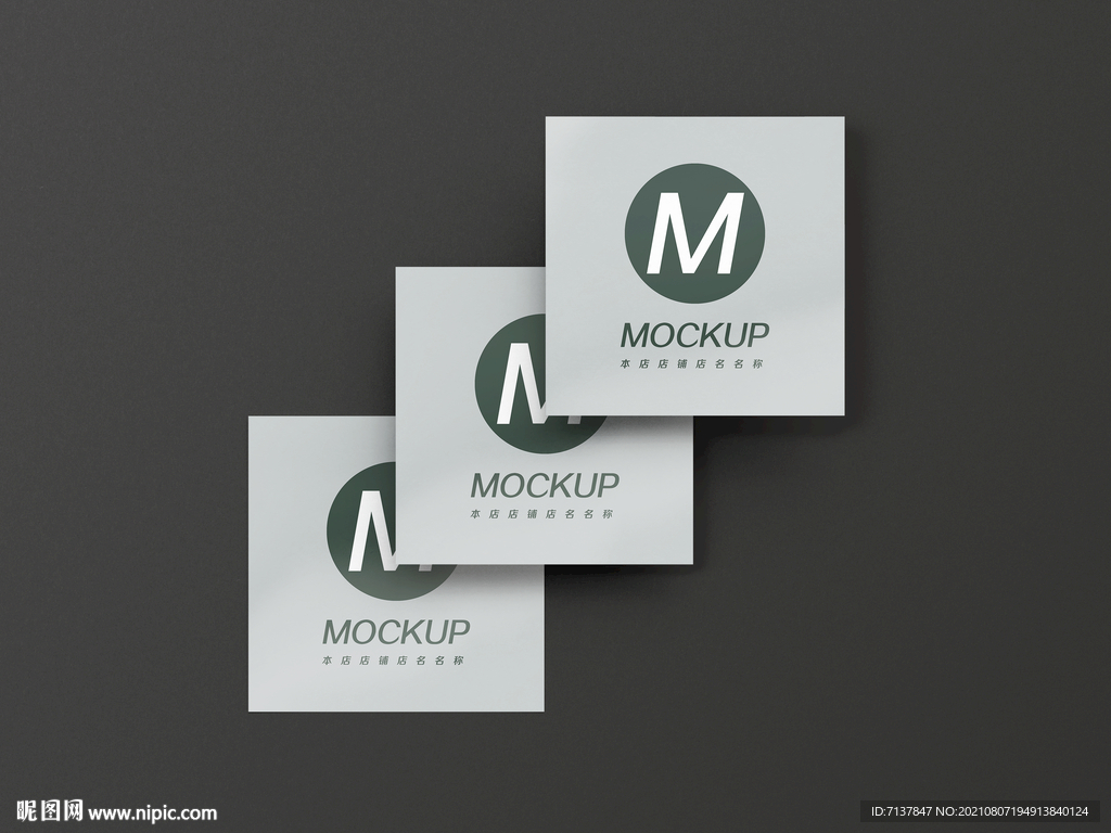 logo宣传产品宣传样机