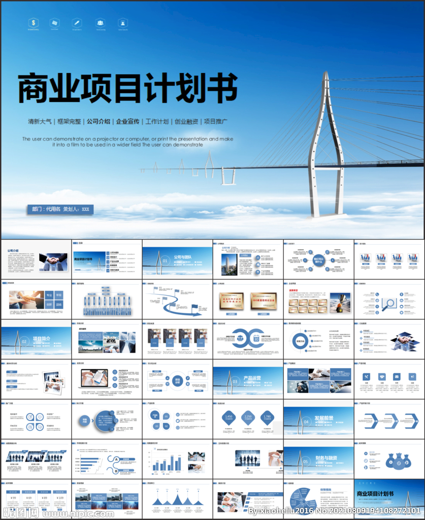 商业项目计划书PPT