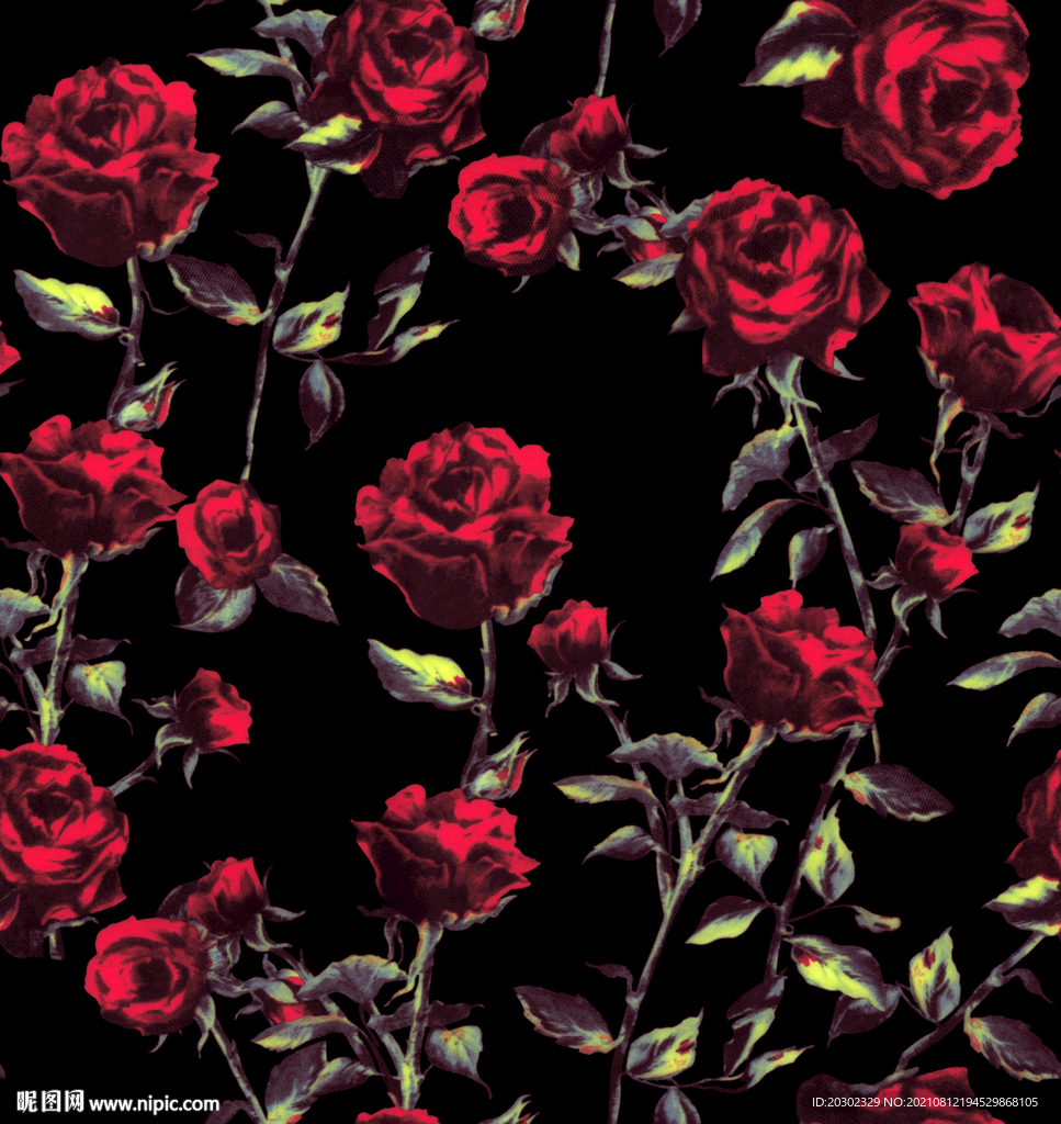 黑底玫瑰花