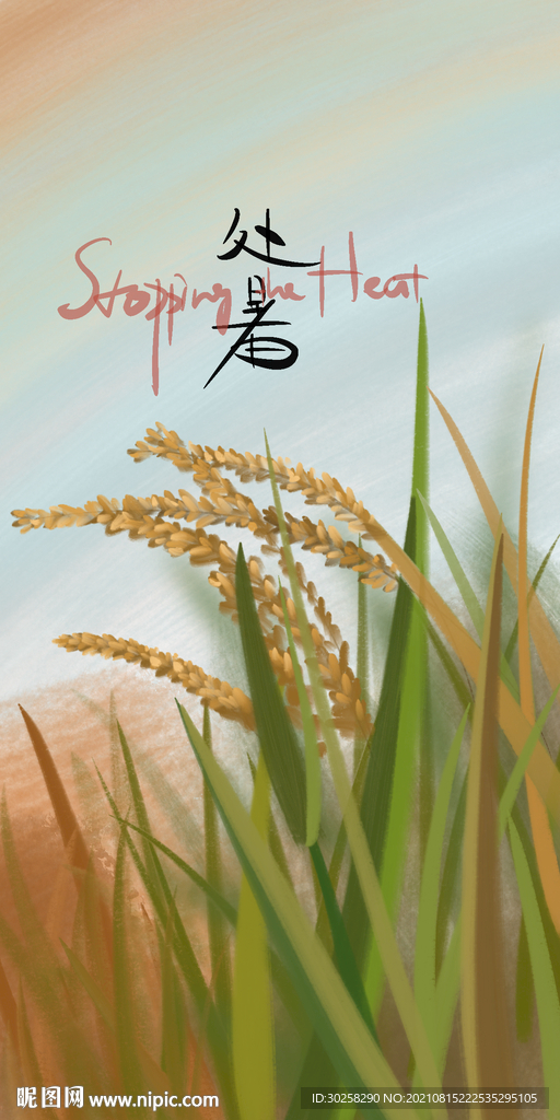 小清新节气插画处暑大暑夏至