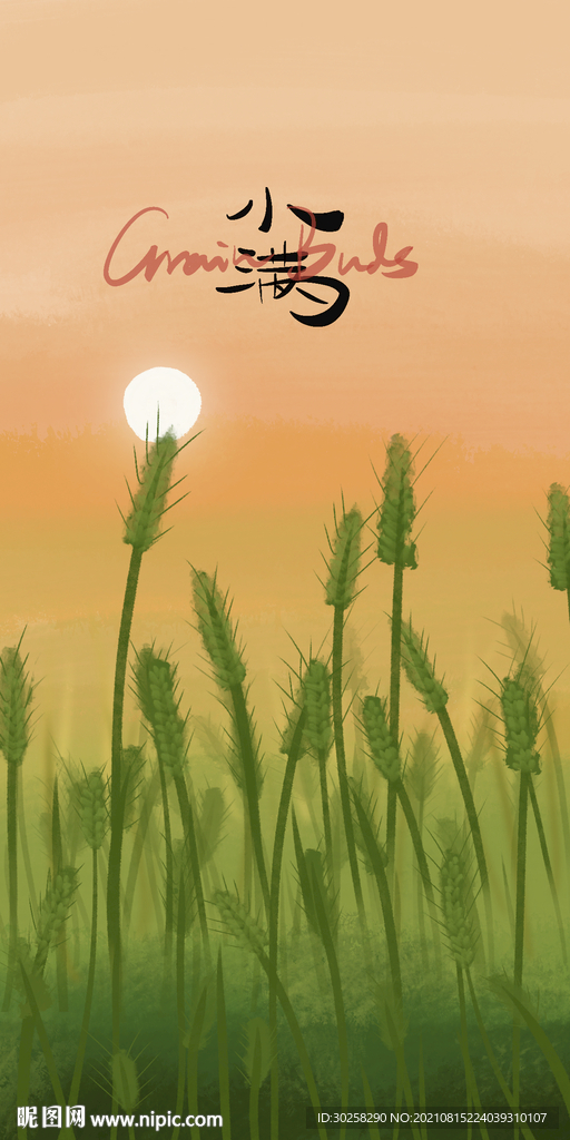 小清新节气插画小满芒种夏天初夏