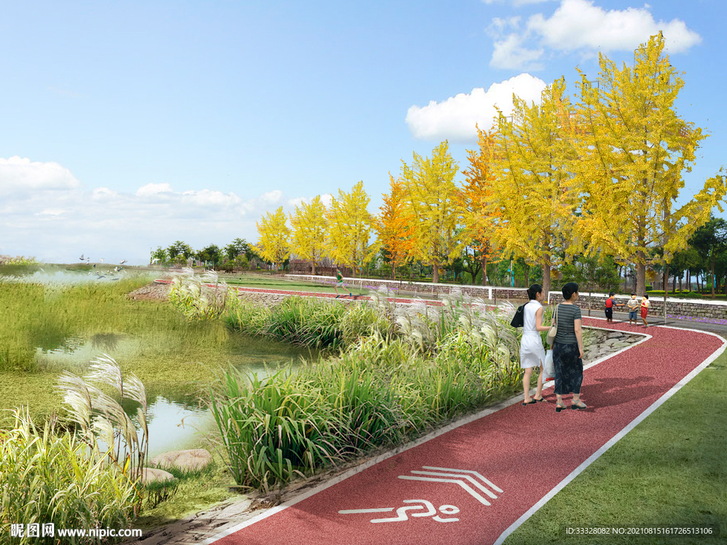 黄河 控岛 绿化提升 滨河漫步