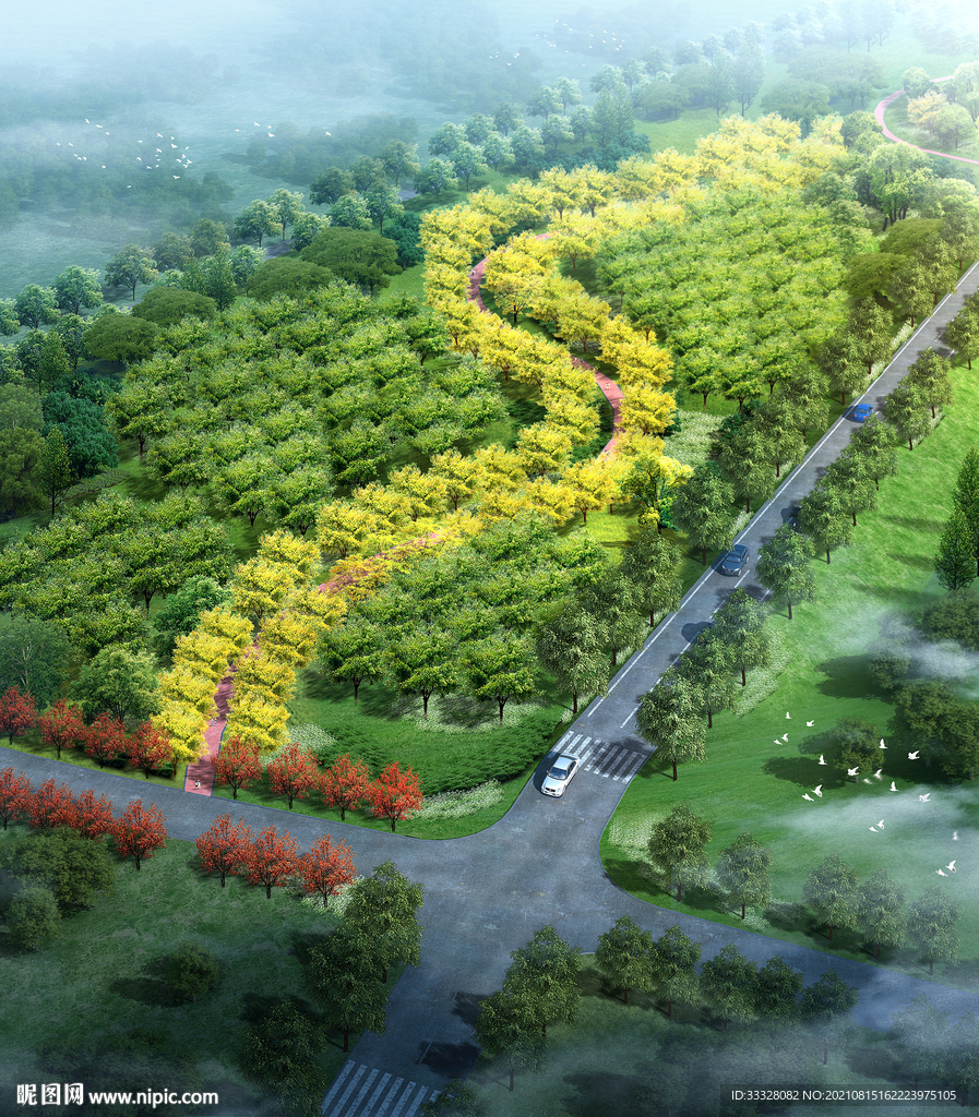 林带 绿道 大堤绿化鸟瞰