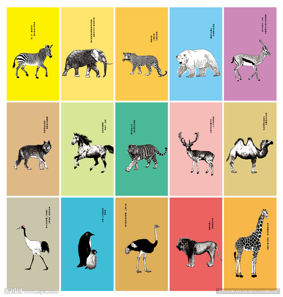 15种野生动物插画