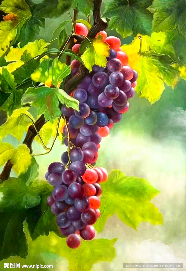 葡萄油画装饰