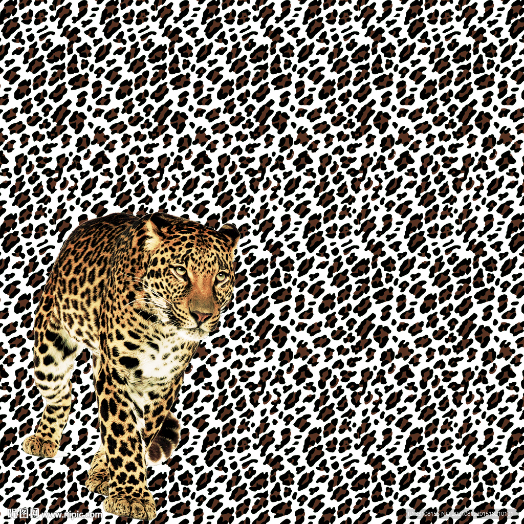 大牌 数码 印花