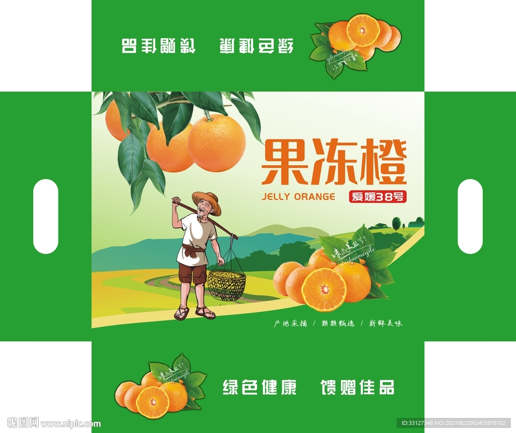 果冻橙  平面图