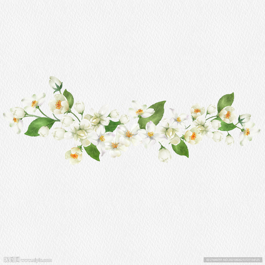 质感茉莉花水彩
