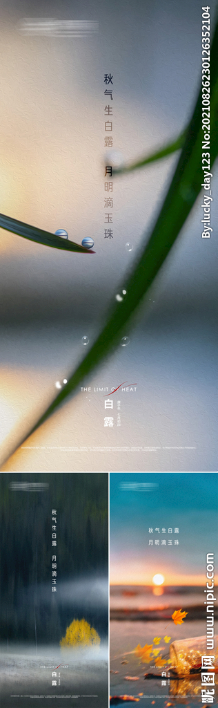 地产白露二十四节气刷屏海报