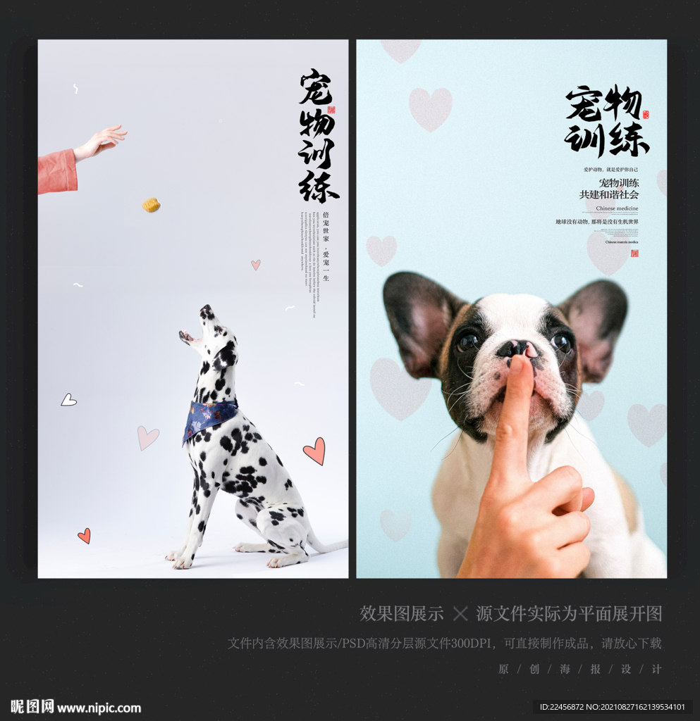 宠物海报