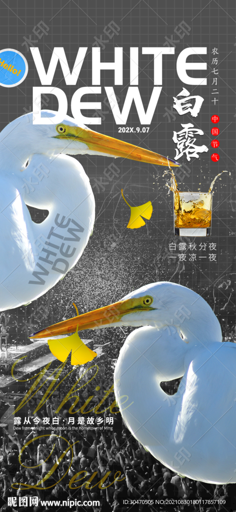 房地产酒吧节气白露海报图片