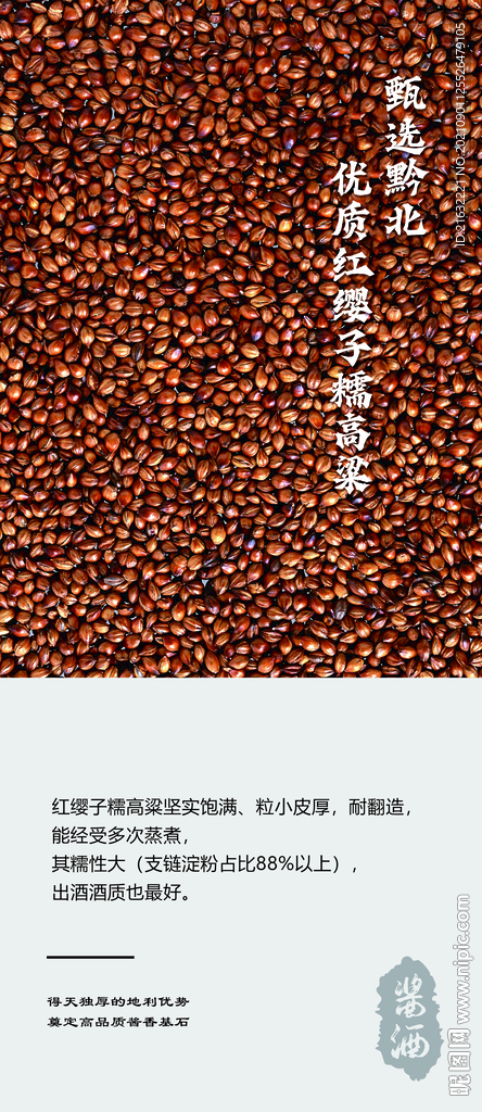 酱香酒产地遵义小气候之高粱