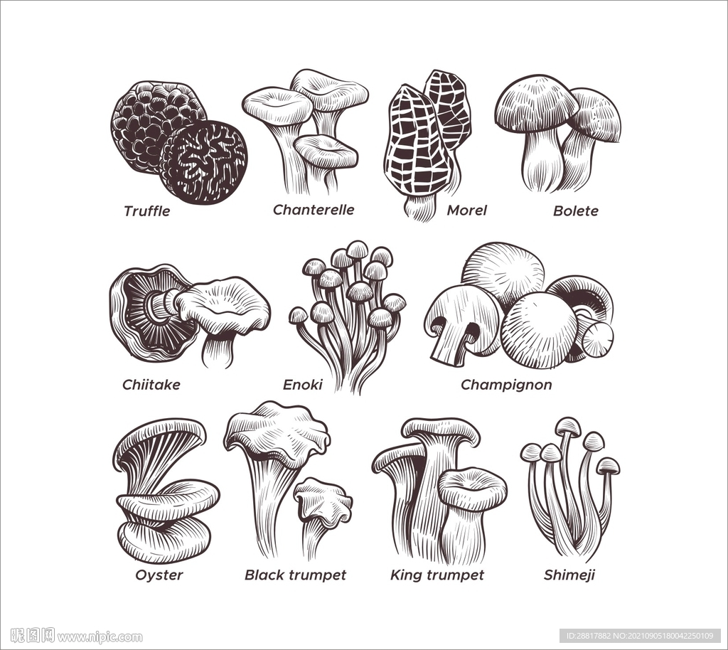 香菇蘑菇手绘美食墙绘