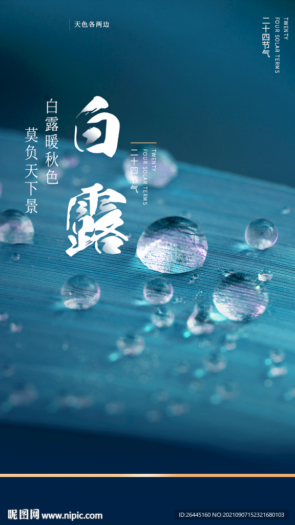 白露 二十四节气