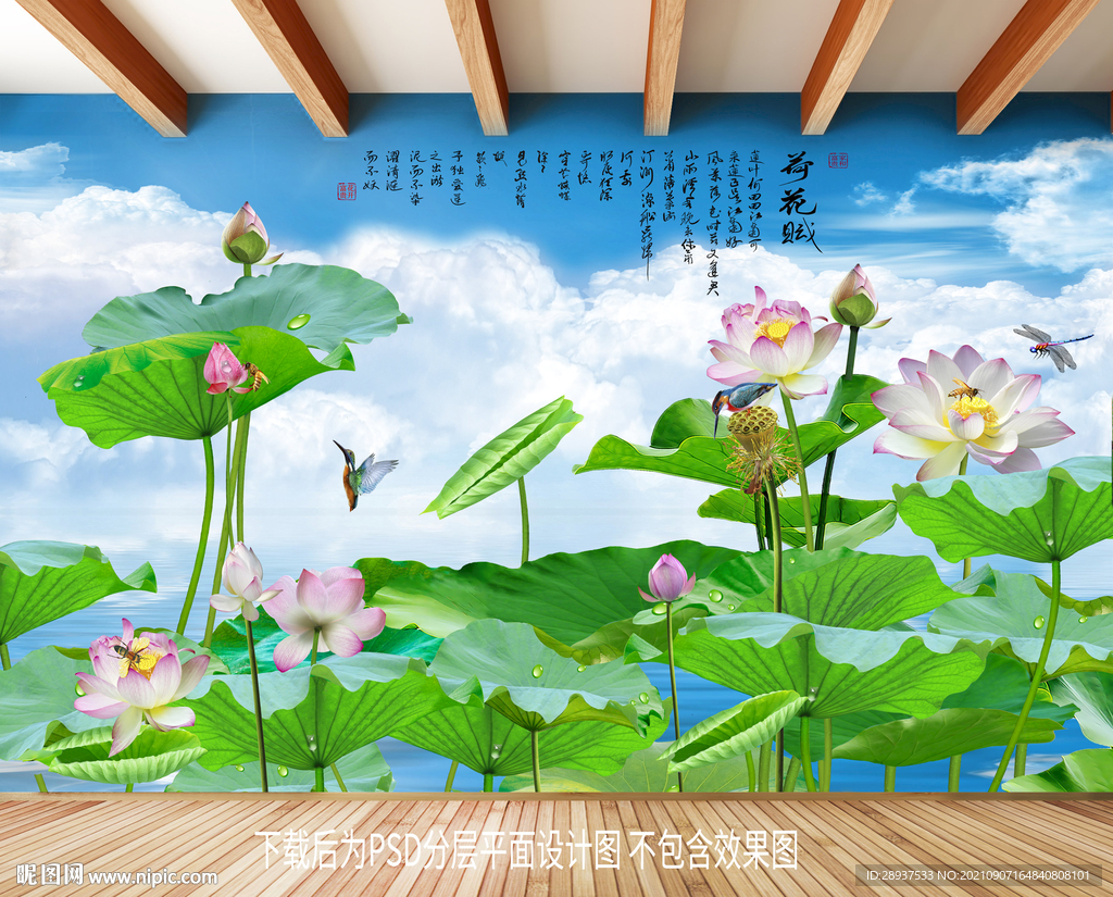 高清荷花背景墙