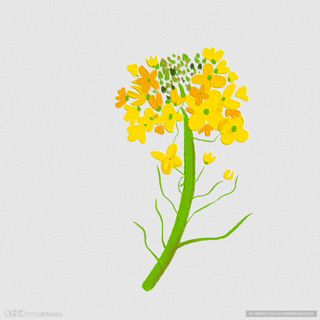 小清新手绘可爱油菜花壁画壁纸