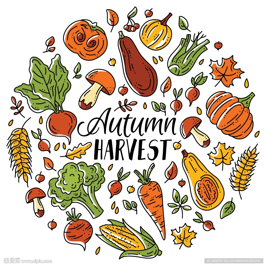 水果蔬菜相关图标