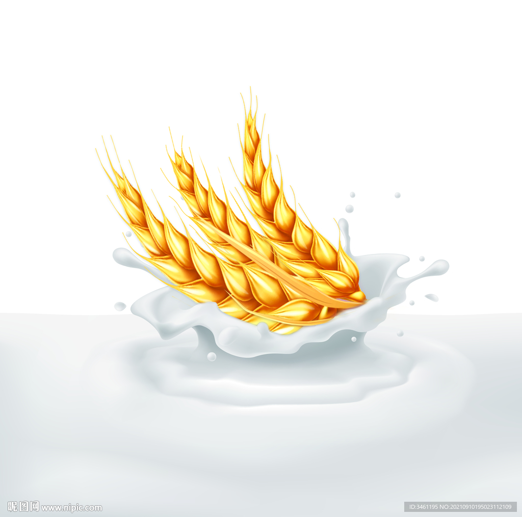 奶花麦穗分层图