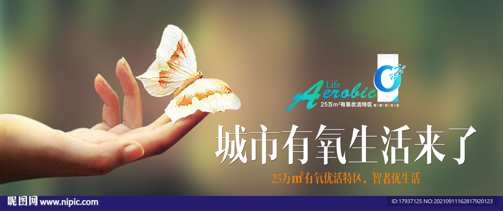 蝴蝶 生态 童趣 环保 空气 