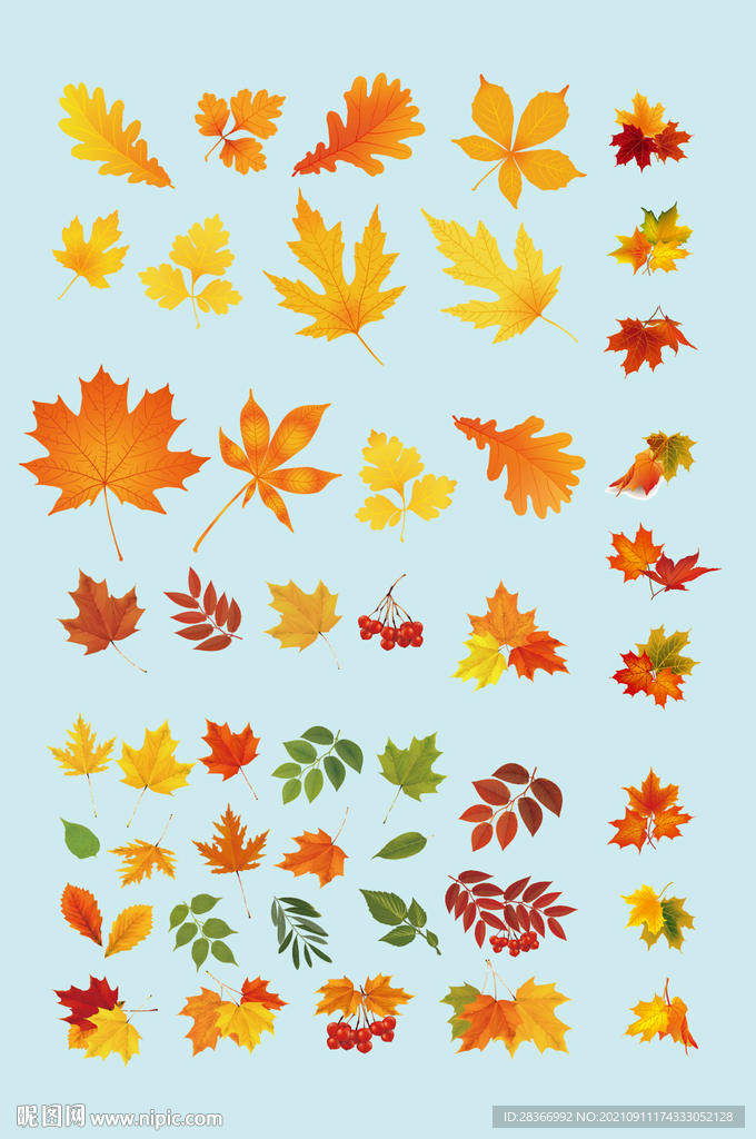 AI矢量枫叶元素