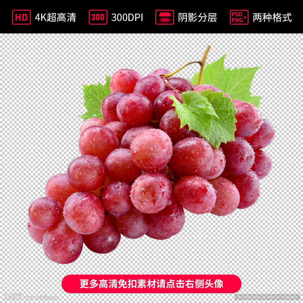 高清葡萄免扣素材