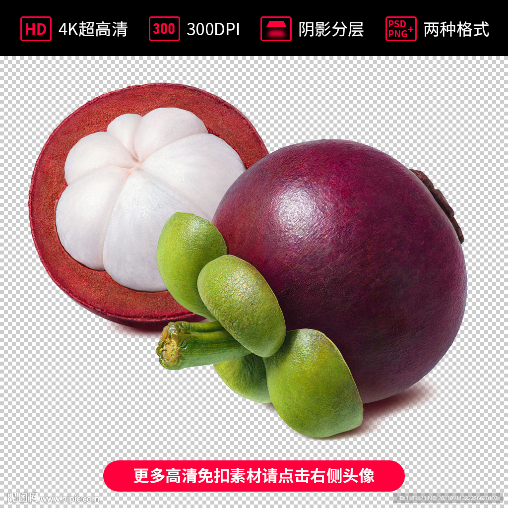 高清山竹免扣素材