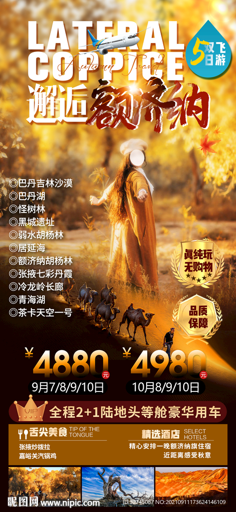 胡杨林  额济纳