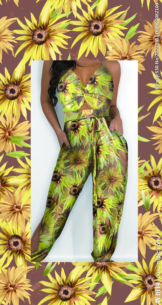 菊花 手绘花 向日葵