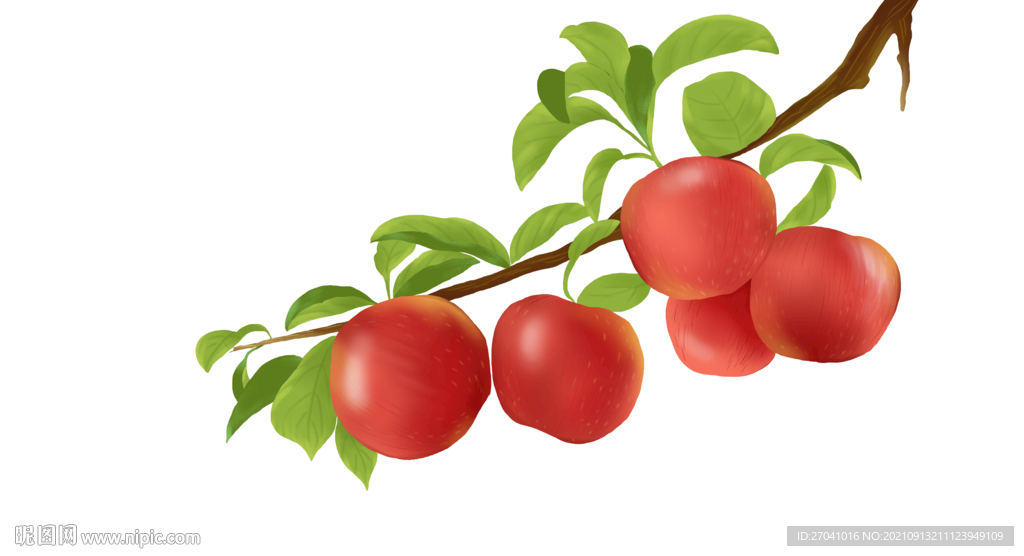 苹果手绘苹果手绘水果分层