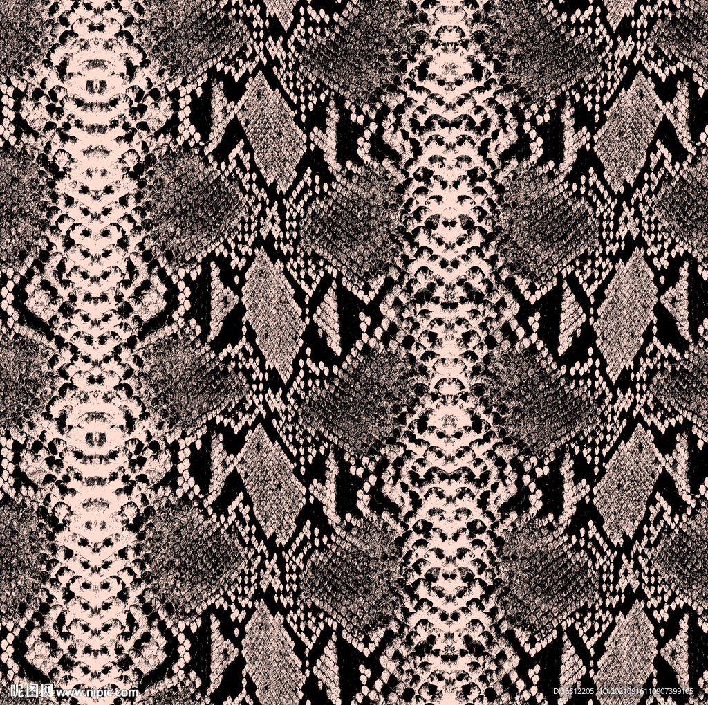 豹纹 斑马纹 蛇纹   大牌 