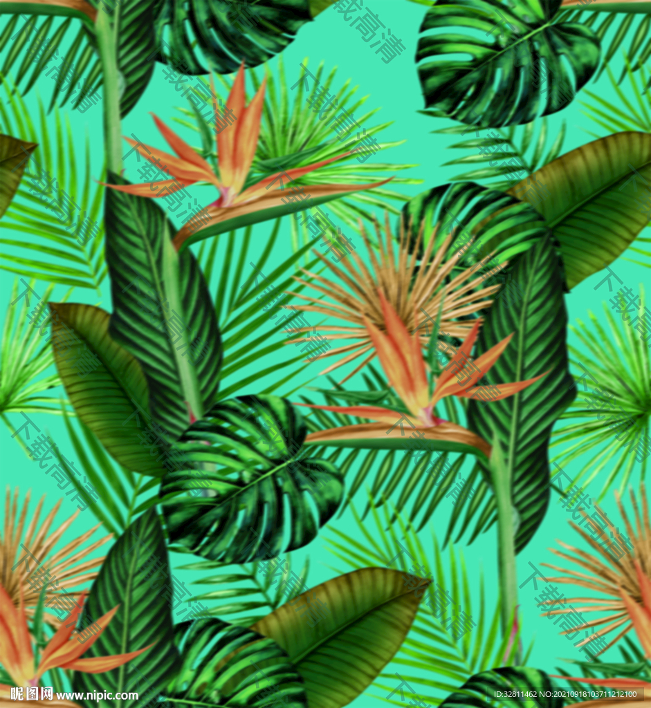 热带植物 热带花