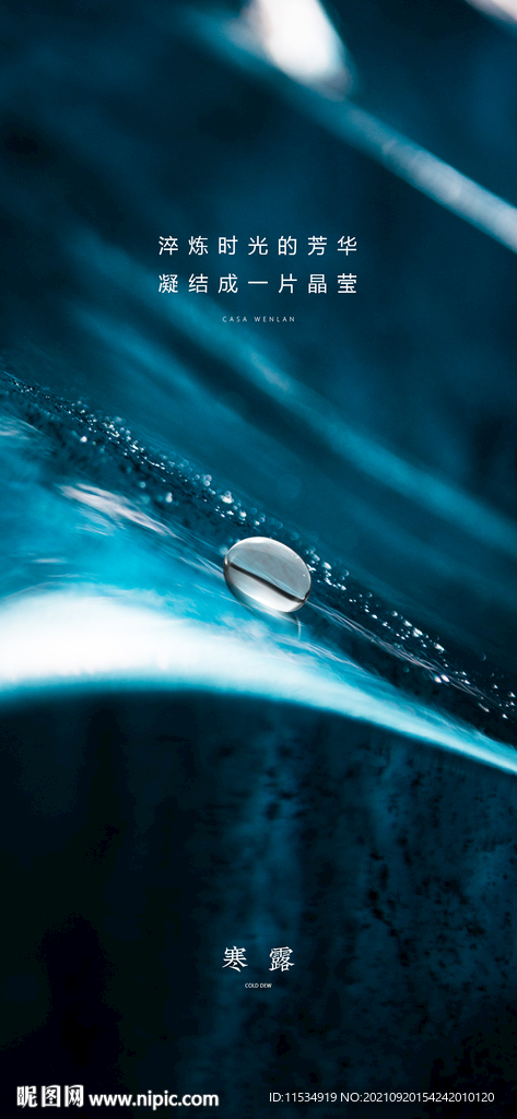 寒露质感节气海报