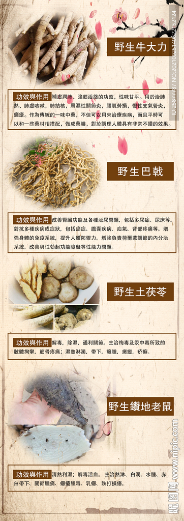 野生牛大力展架