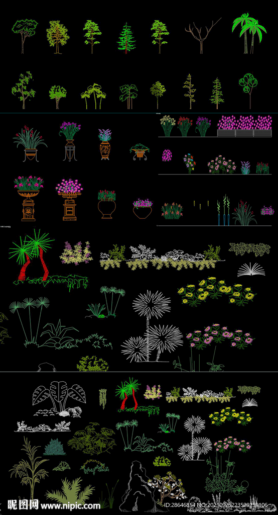 花朵植物CAD图库