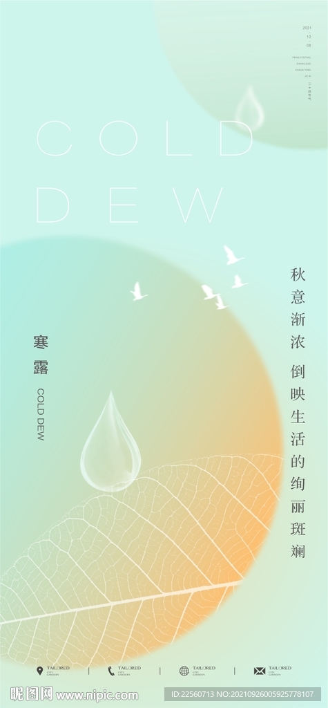 地产简约寒露节气微信