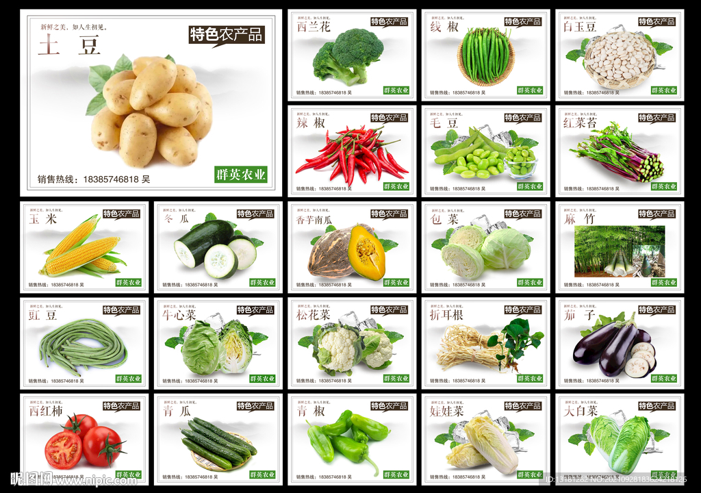 绿色特色农产品蔬菜