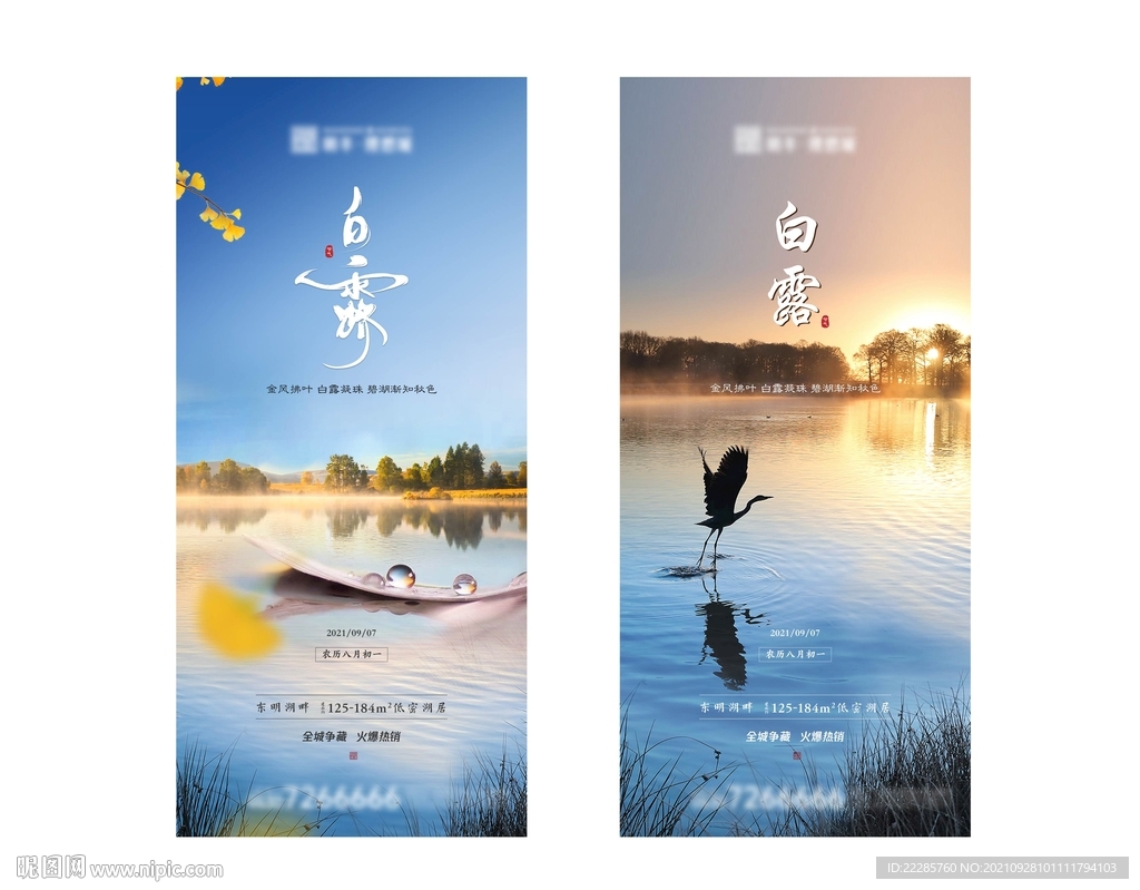 白露节日节气单图