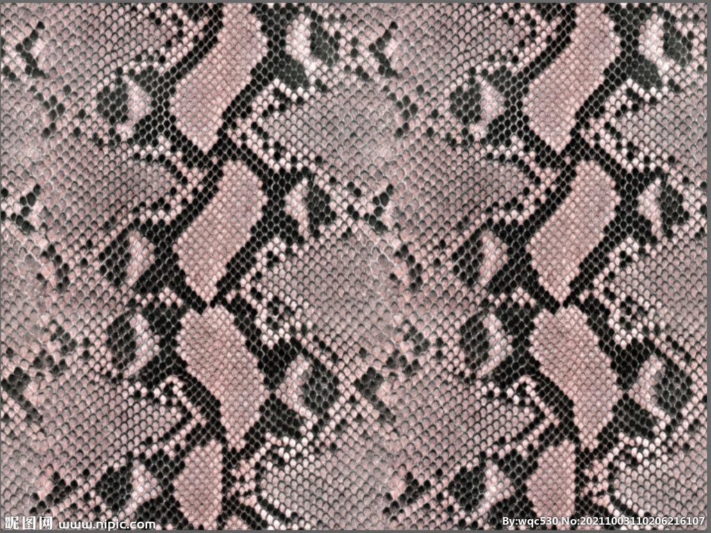 蛇皮 蛇纹