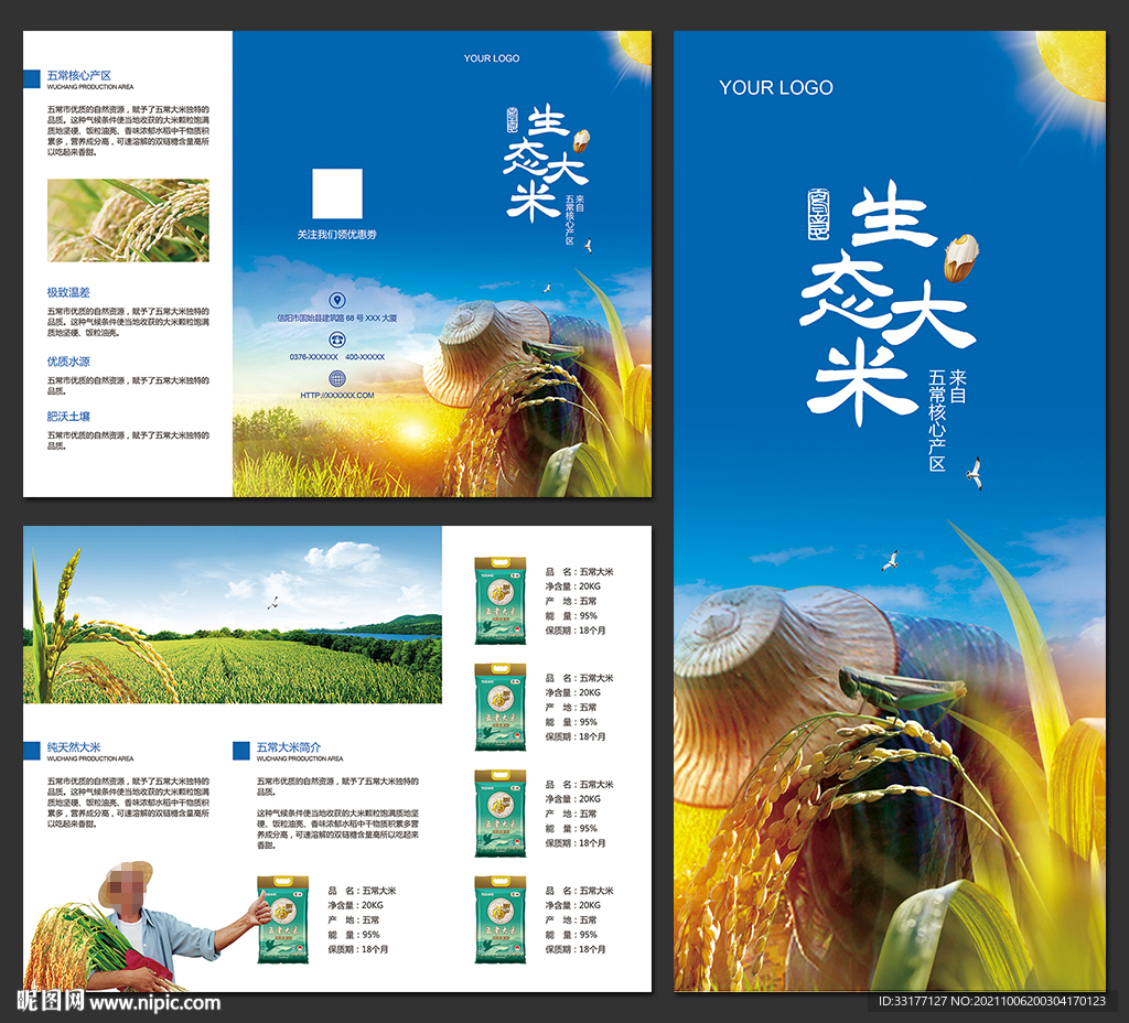 五常大米促销宣传三折页