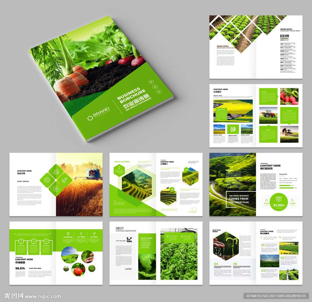农业画册 农产品宣传册