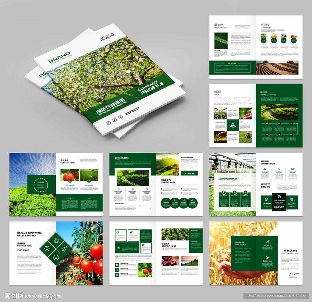 ????农业画册 农产品宣传册