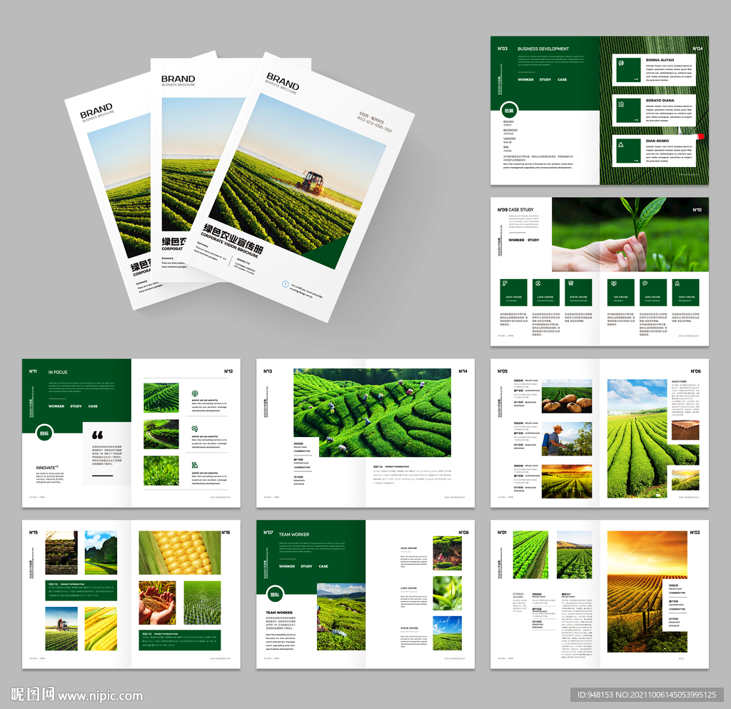 农业画册 农产品宣传册