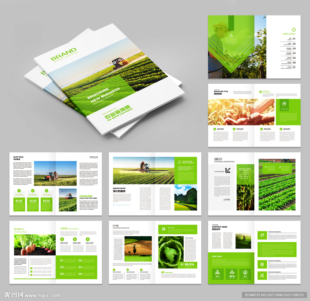 农业画册 农产品宣传册