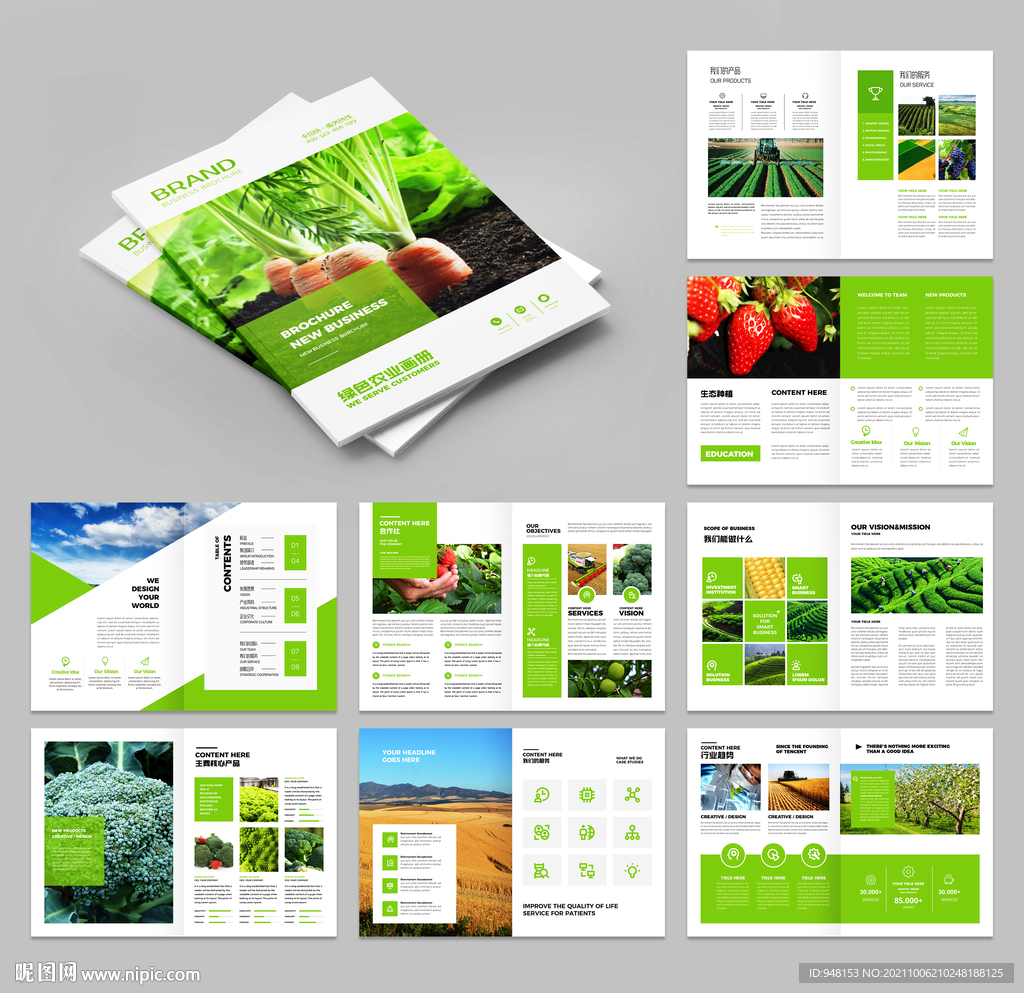 农业画册 农产品宣传册