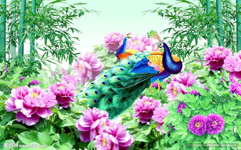 富贵花开孔雀家和电视背景墙