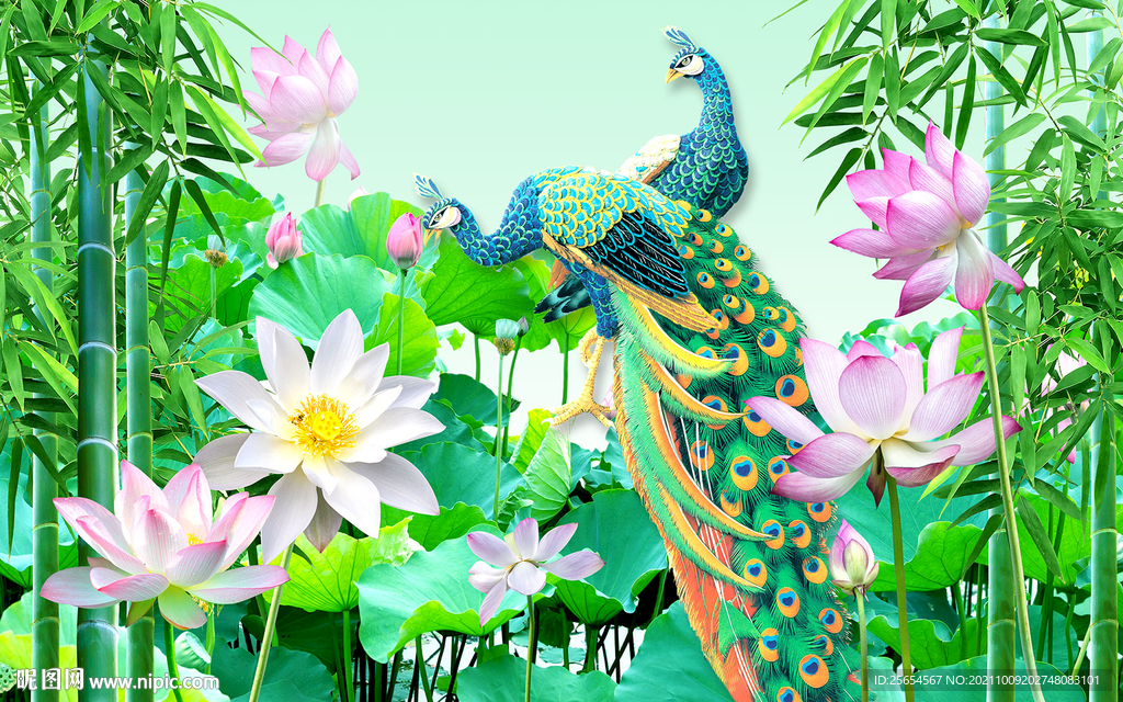 孔雀荷花中式背景墙