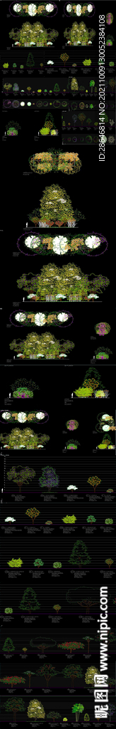 松树植物CAD图库