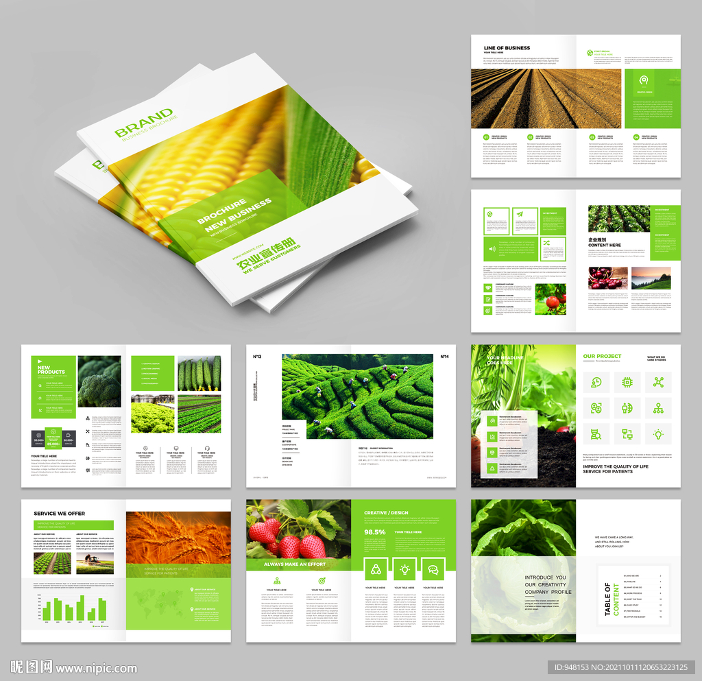 农业画册 农产品宣传册