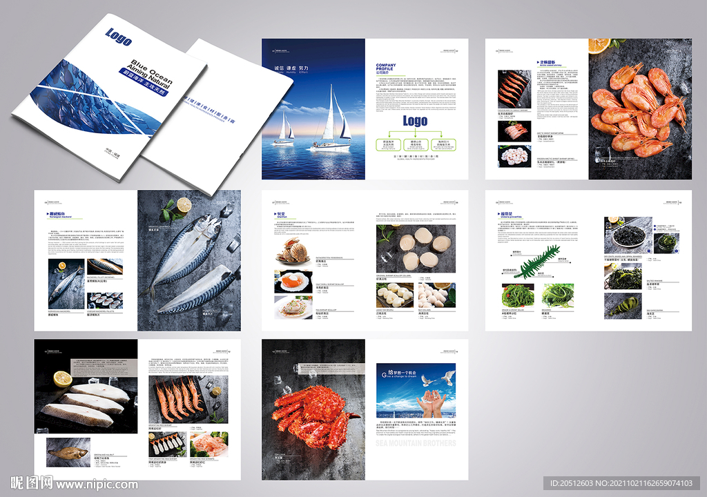 海产品公司画册